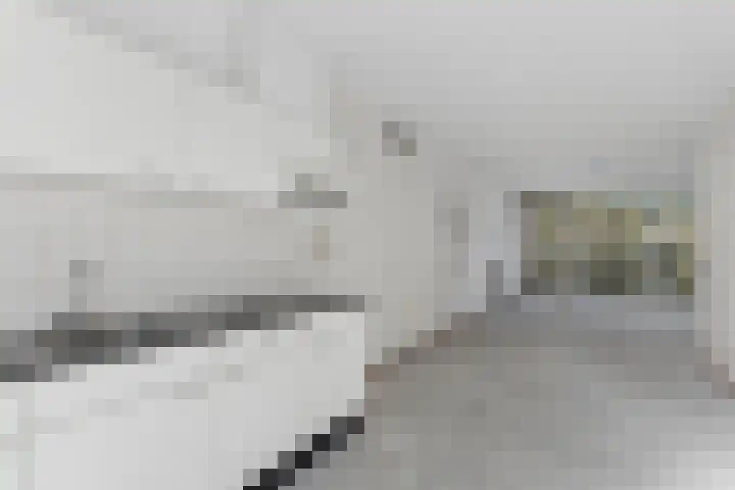 Elisabeth Boddaertstraat 111 Amsterdam thumbnail 12