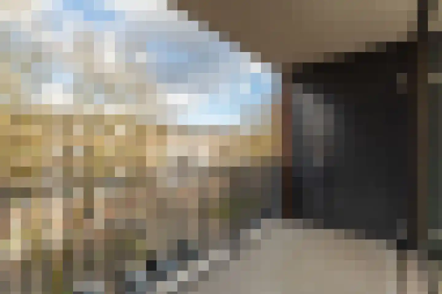 Elisabeth Boddaertstraat 111 Amsterdam thumbnail 6