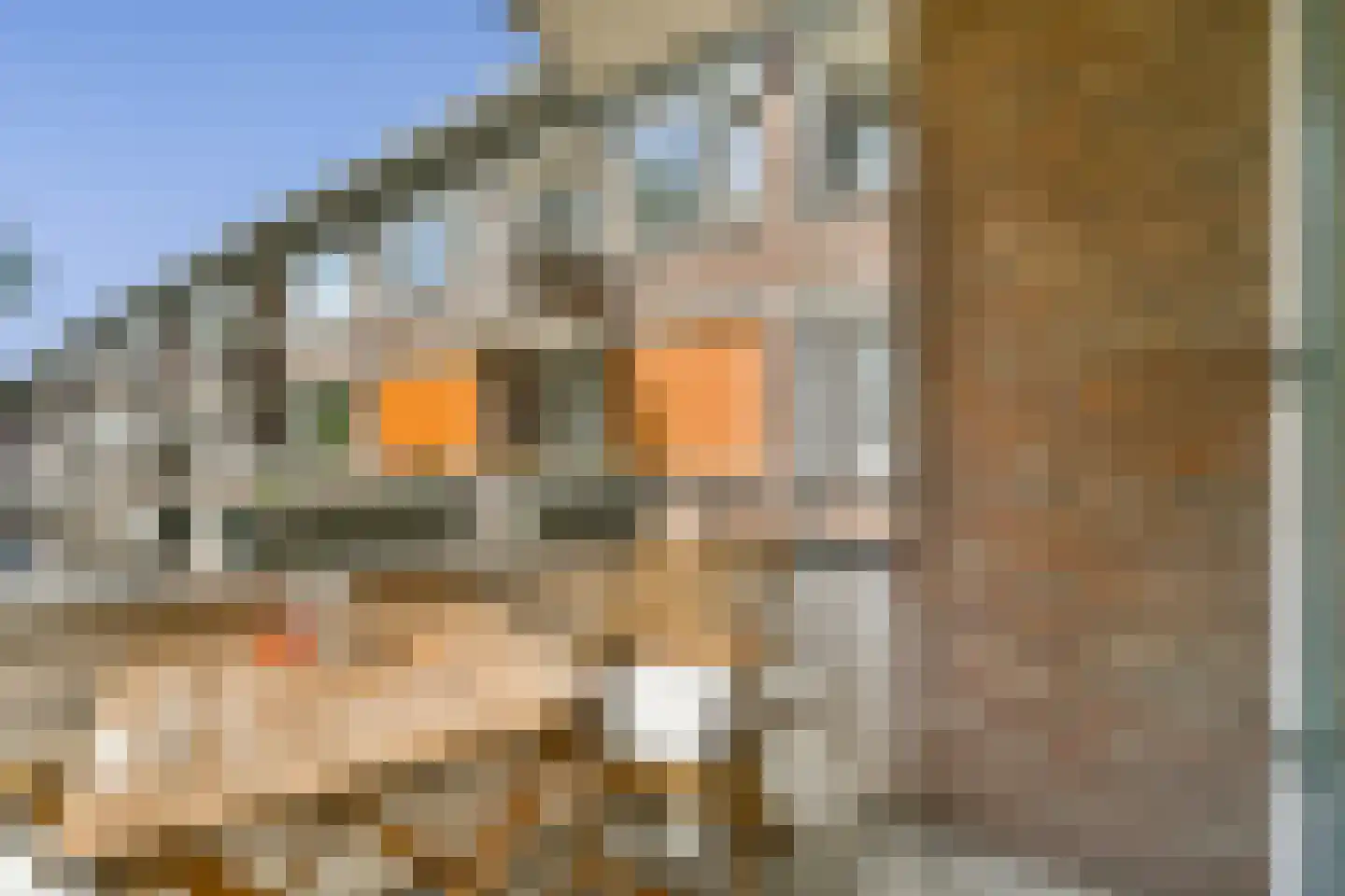 Elisabeth Boddaertstraat 24 1 Amsterdam thumbnail 16