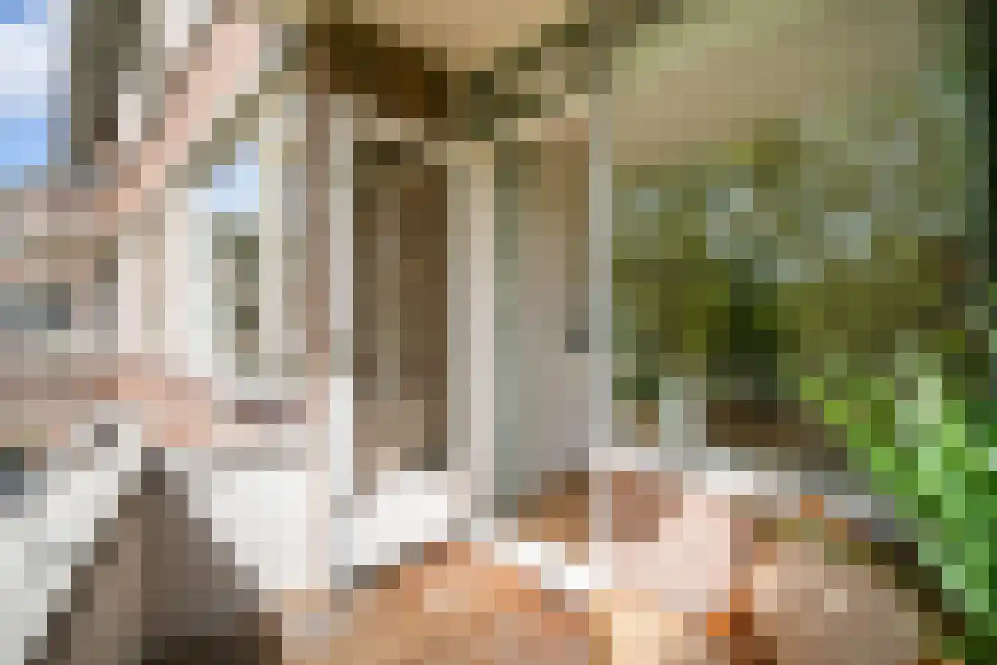 Elisabeth Boddaertstraat 28 2 Amsterdam thumbnail 24