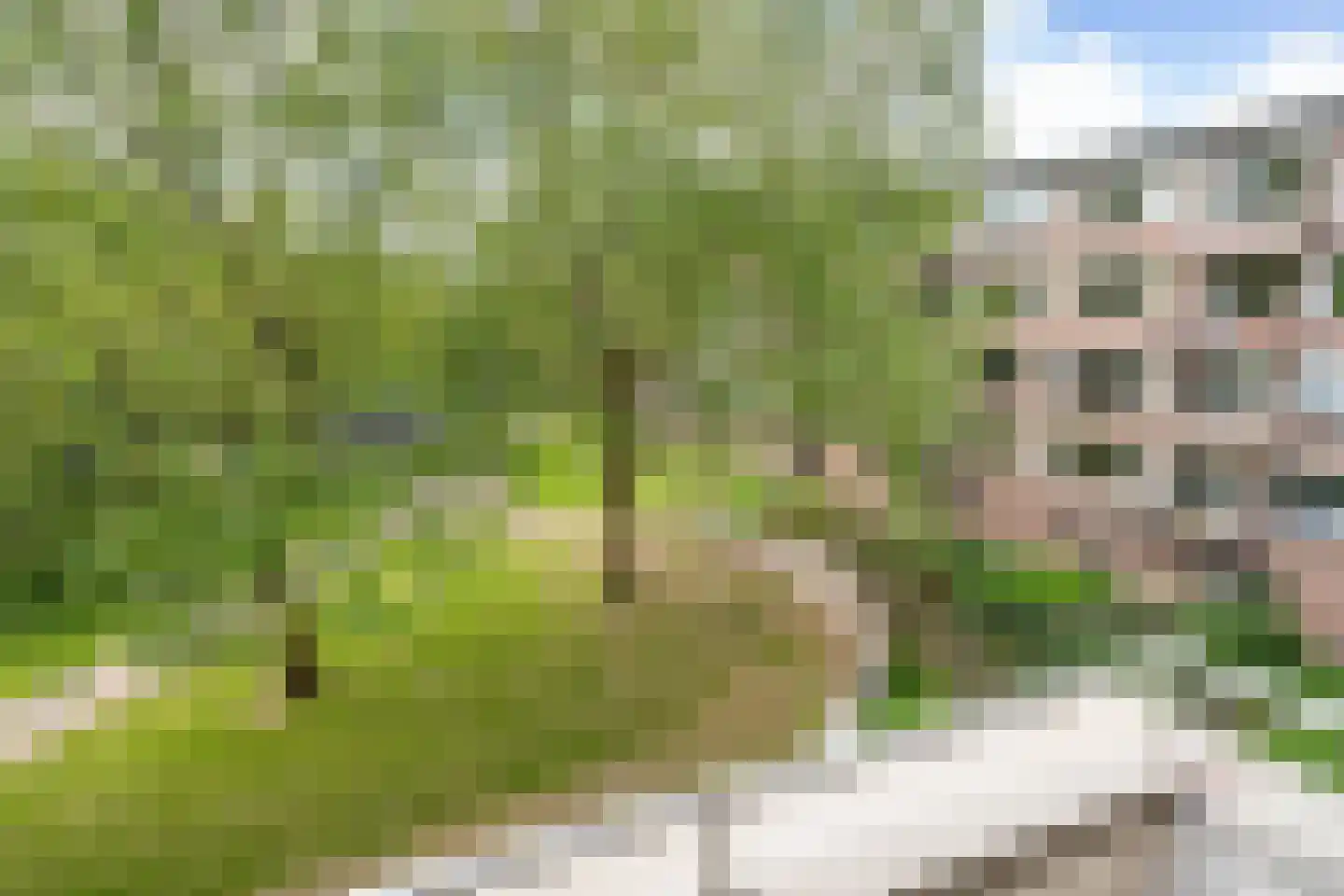Elisabeth Boddaertstraat 28 2 Amsterdam thumbnail 26