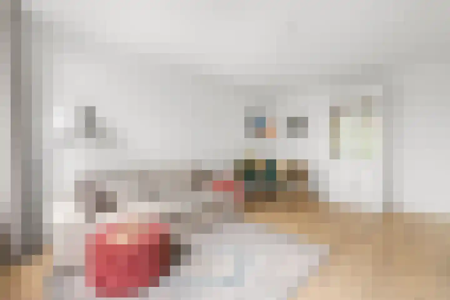 Elisabeth Boddaertstraat 28 2 Amsterdam thumbnail 5