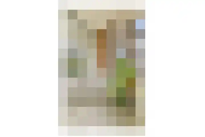 Elisabeth Boddaertstraat 34 1 Amsterdam thumbnail 17