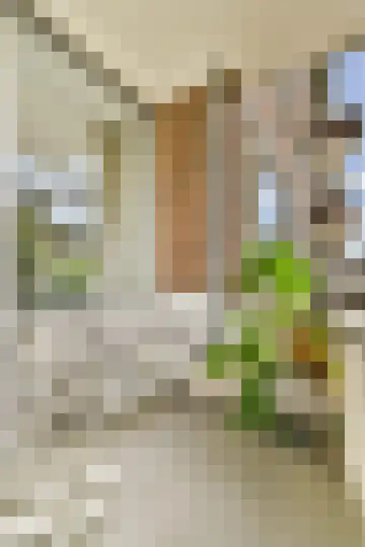 Elisabeth Boddaertstraat 34 1 Amsterdam thumbnail 18
