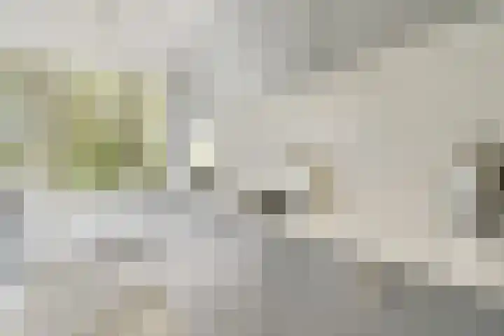 Elisabeth Boddaertstraat 34 1 Amsterdam thumbnail 5