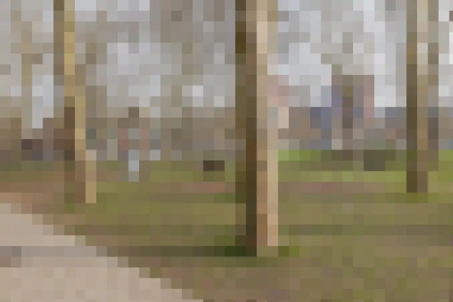 Elisabeth Boddaertstraat 38 3 Amsterdam thumbnail 5