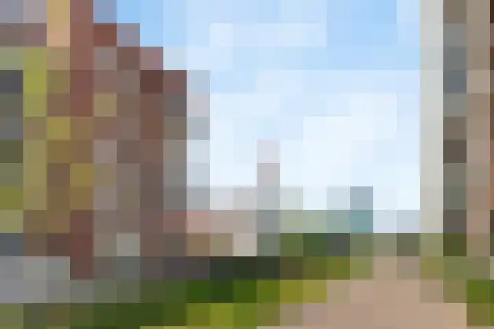 Elisabeth Brugsmapromenade 10 Utrecht thumbnail 6