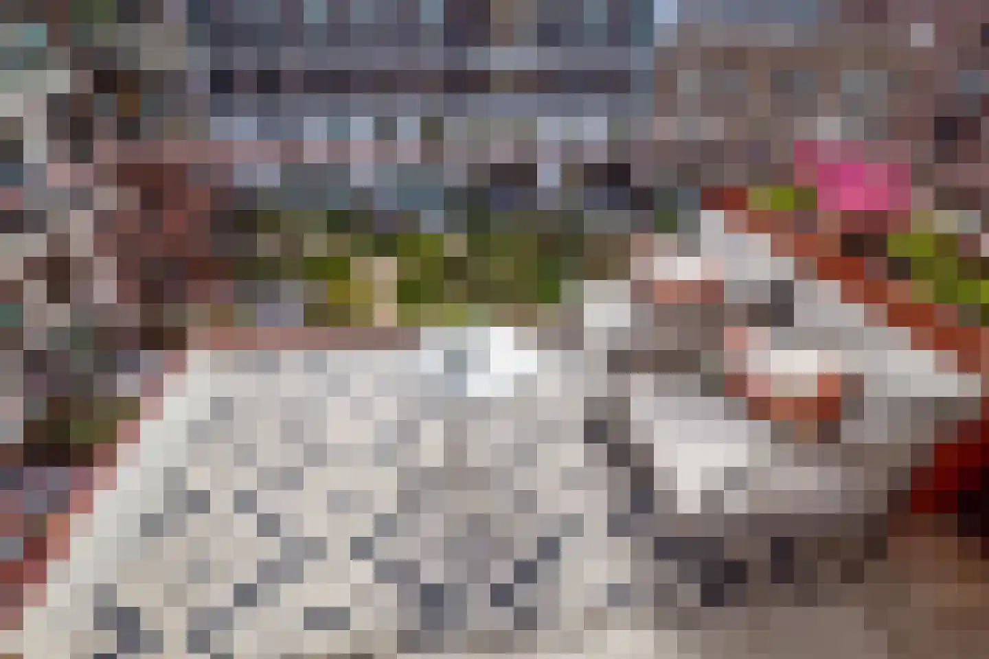 Elisabeth Brugsmapromenade 46 Utrecht thumbnail 27
