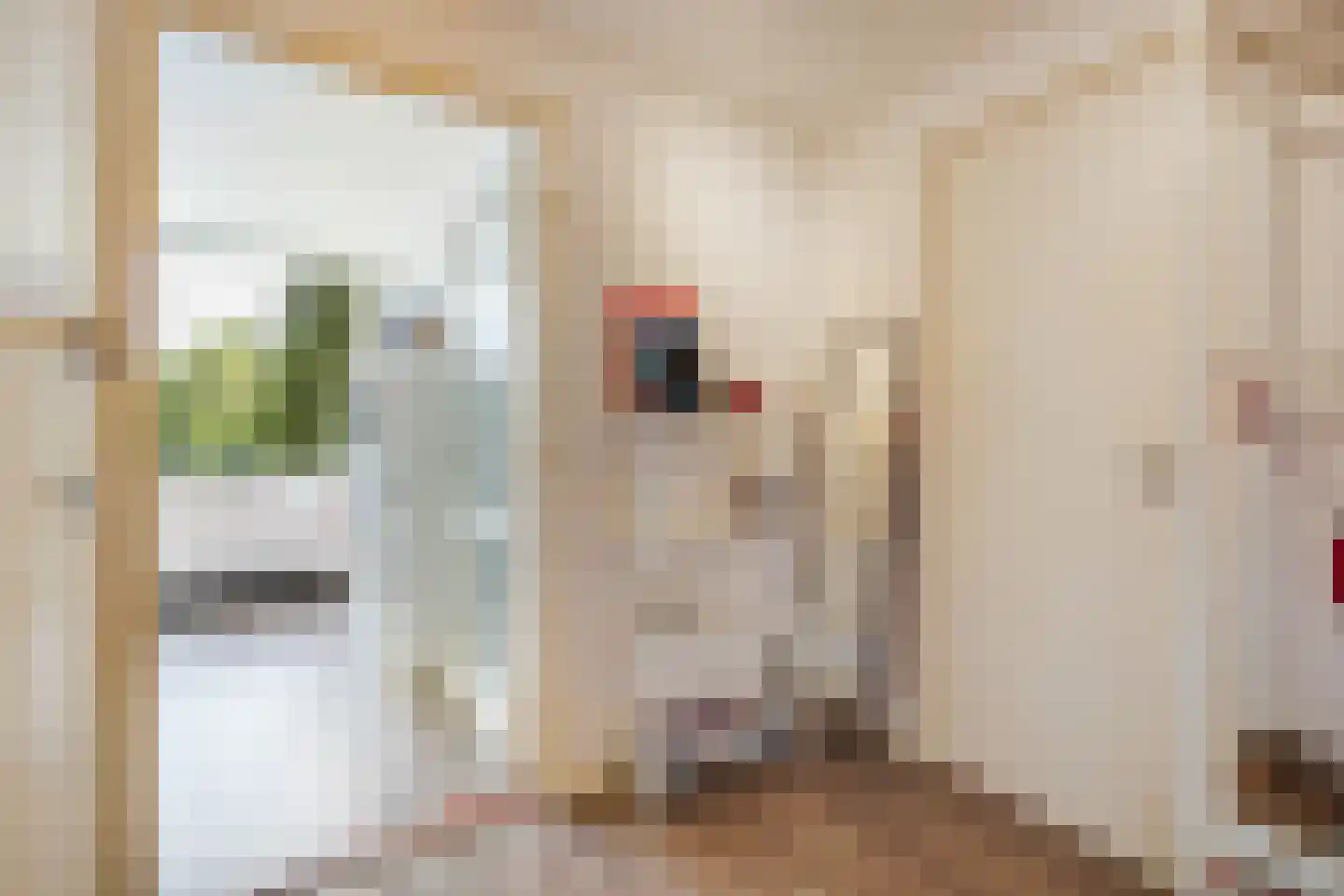 Elisabeth Brugsmaweg 1 207 Den Haag thumbnail 4