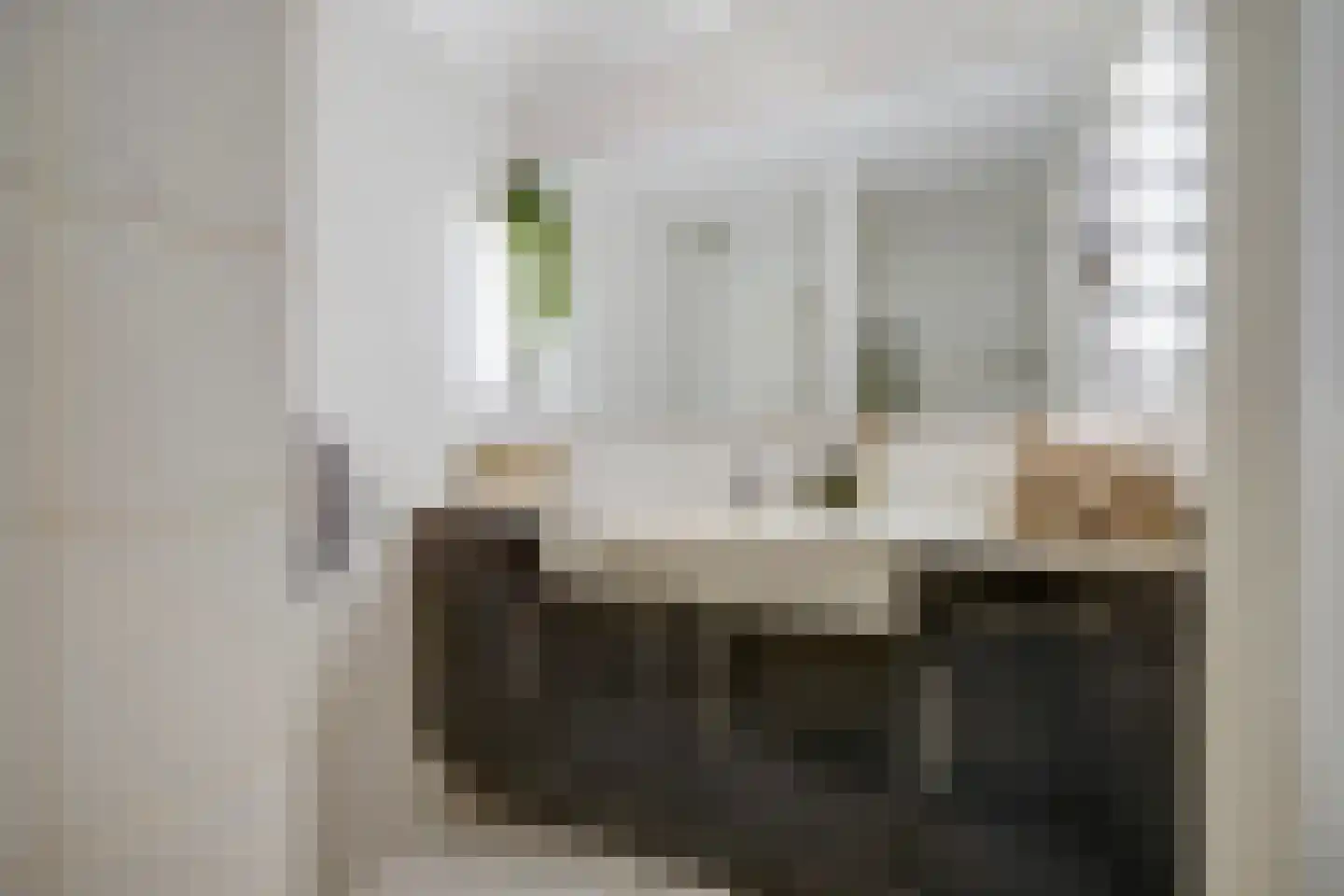 Elisabeth Brugsmaweg 1 214 Den Haag thumbnail 22