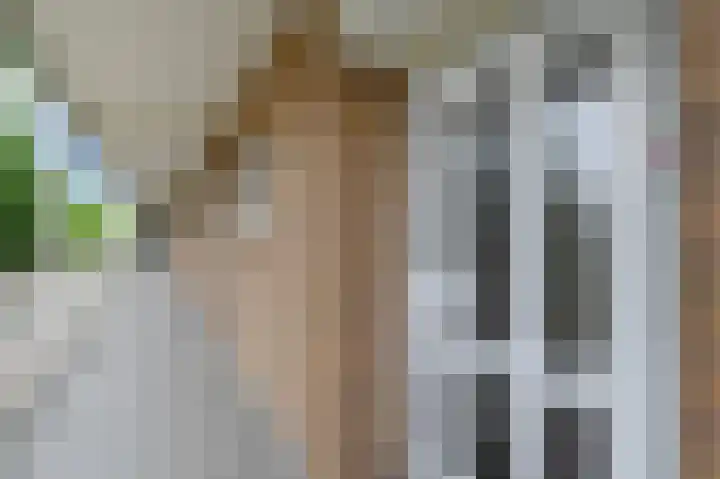 Elisabeth Brugsmaweg 1 220 Den Haag thumbnail 11