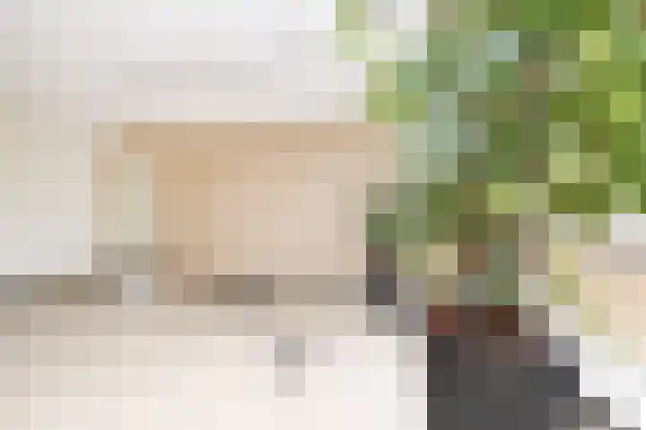 Elisabeth Brugsmaweg 1 220 Den Haag thumbnail 9
