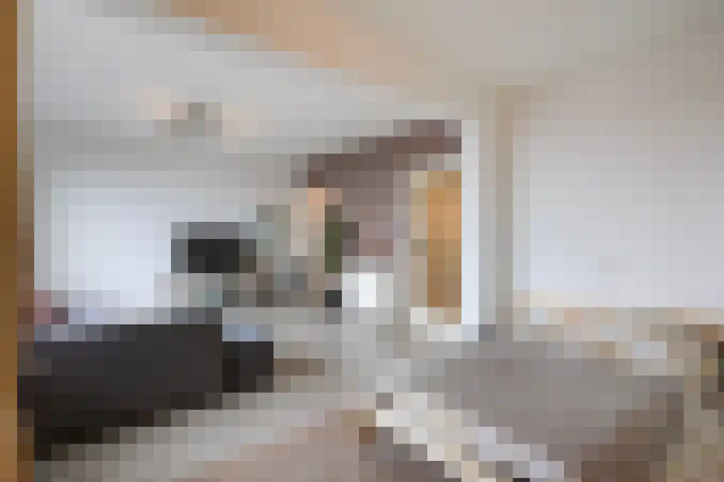 Elisabeth Brugsmaweg 1 302 Den Haag thumbnail 11