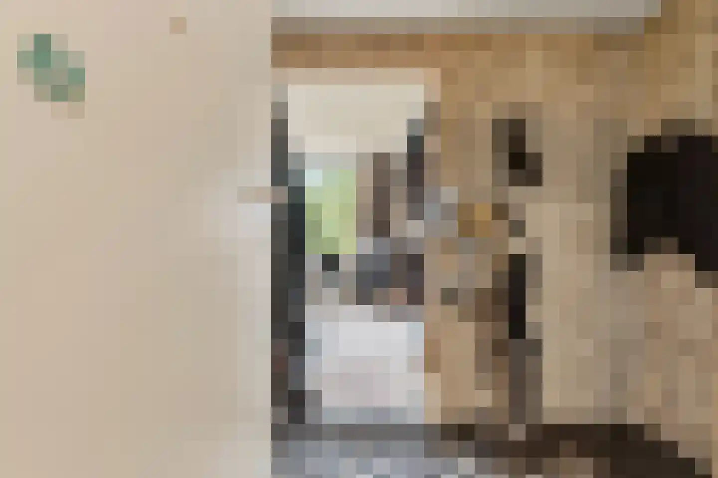 Elisabeth Brugsmaweg 1 311 Den Haag thumbnail 12
