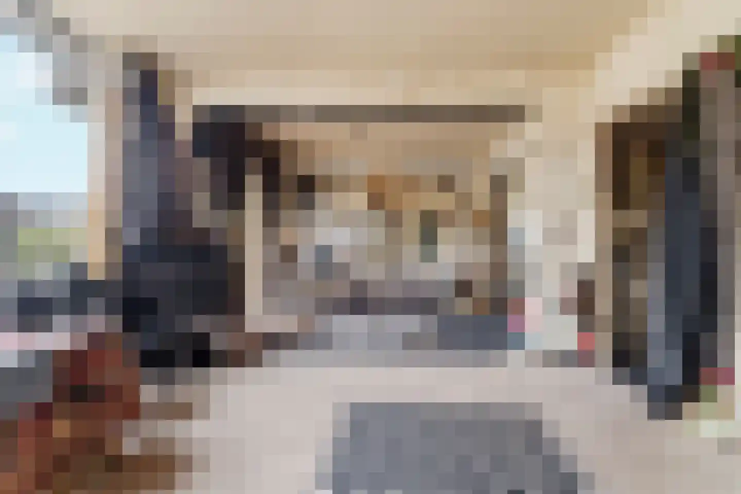 Elisabeth Brugsmaweg 1 311 Den Haag thumbnail 16