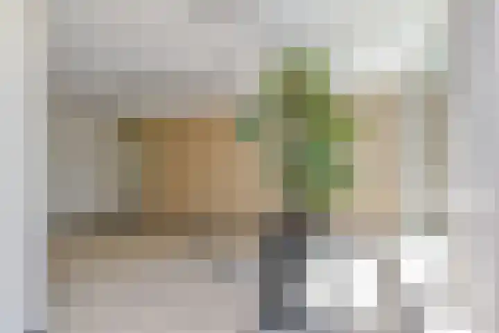 Elisabeth Brugsmaweg 1 319 Den Haag thumbnail 14
