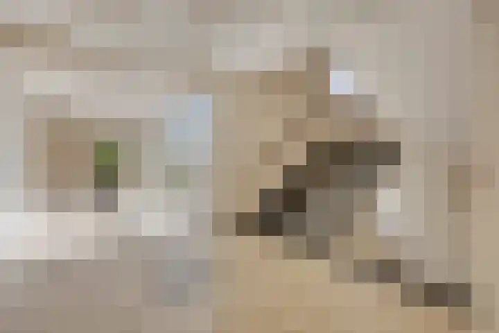 Elisabeth Brugsmaweg 1 402 Den Haag thumbnail 5
