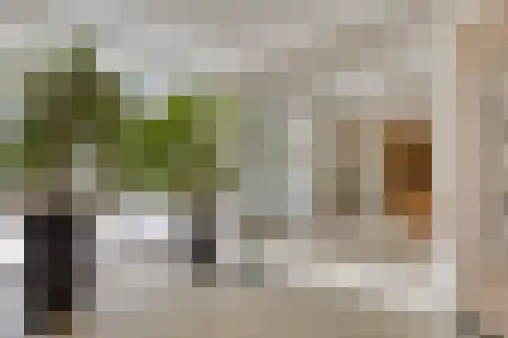 Elisabeth Brugsmaweg 1 402 Den Haag thumbnail 8