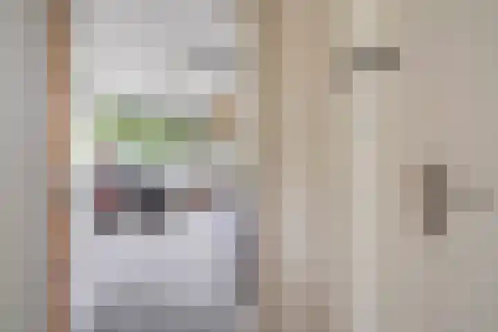 Elisabeth Brugsmaweg 1 421 Den Haag thumbnail 10