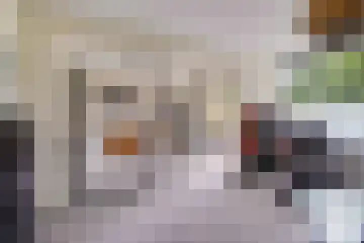 Elisabeth Brugsmaweg 1 421 Den Haag thumbnail 19