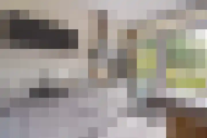 Elisabeth Brugsmaweg 1 421 Den Haag thumbnail 22