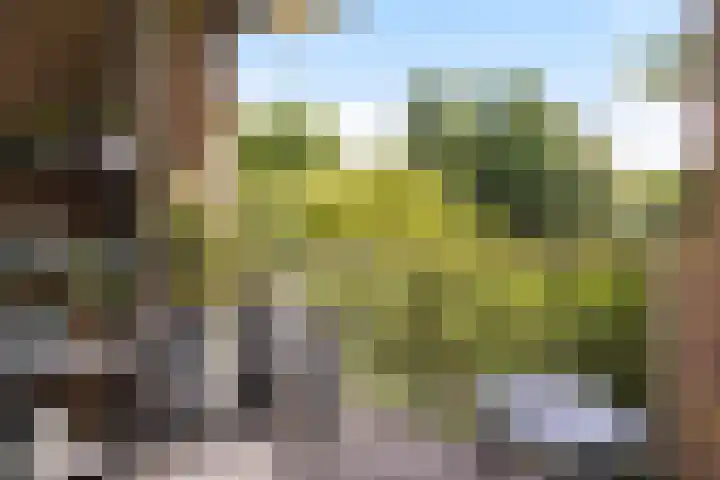 Elisabeth Brugsmaweg 1 421 Den Haag thumbnail 23