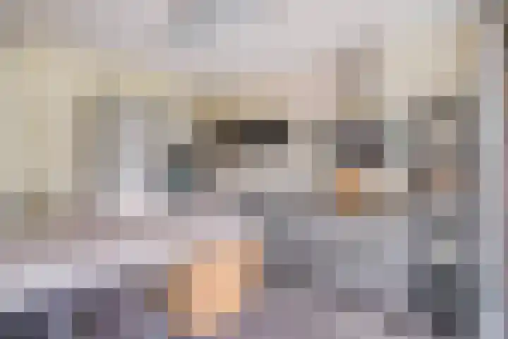 Elisabeth Brugsmaweg 1 421 Den Haag thumbnail 25