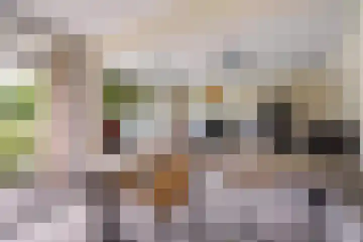 Elisabeth Brugsmaweg 1 421 Den Haag thumbnail 27