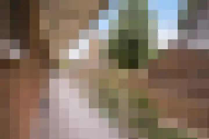 Elisabeth Brugsmaweg 1 421 Den Haag thumbnail 31