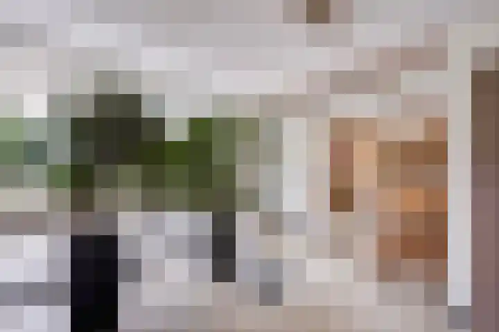 Elisabeth Brugsmaweg 1 421 Den Haag thumbnail 32