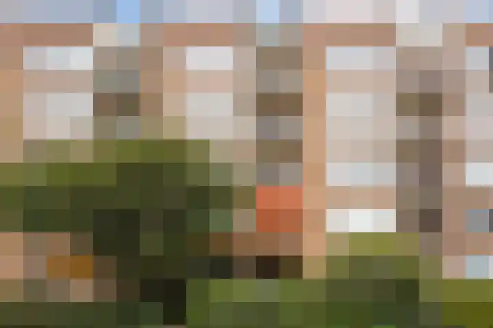 Elisabeth Brugsmaweg 1 421 Den Haag thumbnail 34