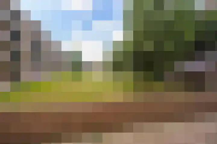 Elisabeth Brugsmaweg 1 421 Den Haag thumbnail 36