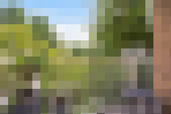 Elisabeth Brugsmaweg 1 421 Den Haag thumbnail 4