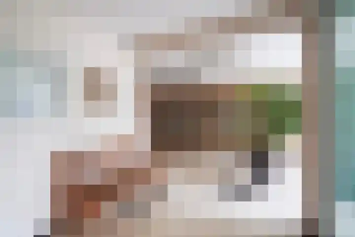 Elisabeth Brugsmaweg 1 421 Den Haag thumbnail 7