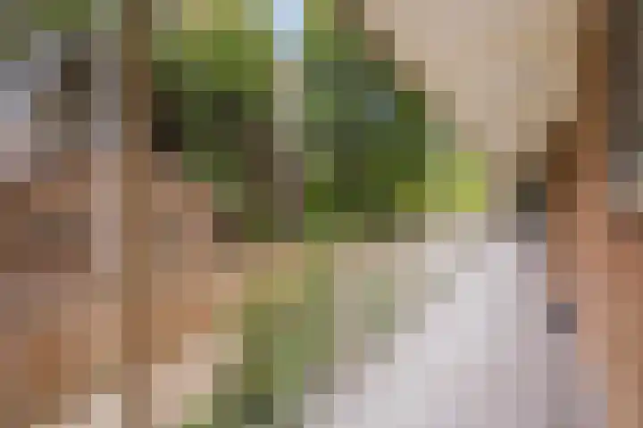 Elisabeth Brugsmaweg 1 421 Den Haag thumbnail 8