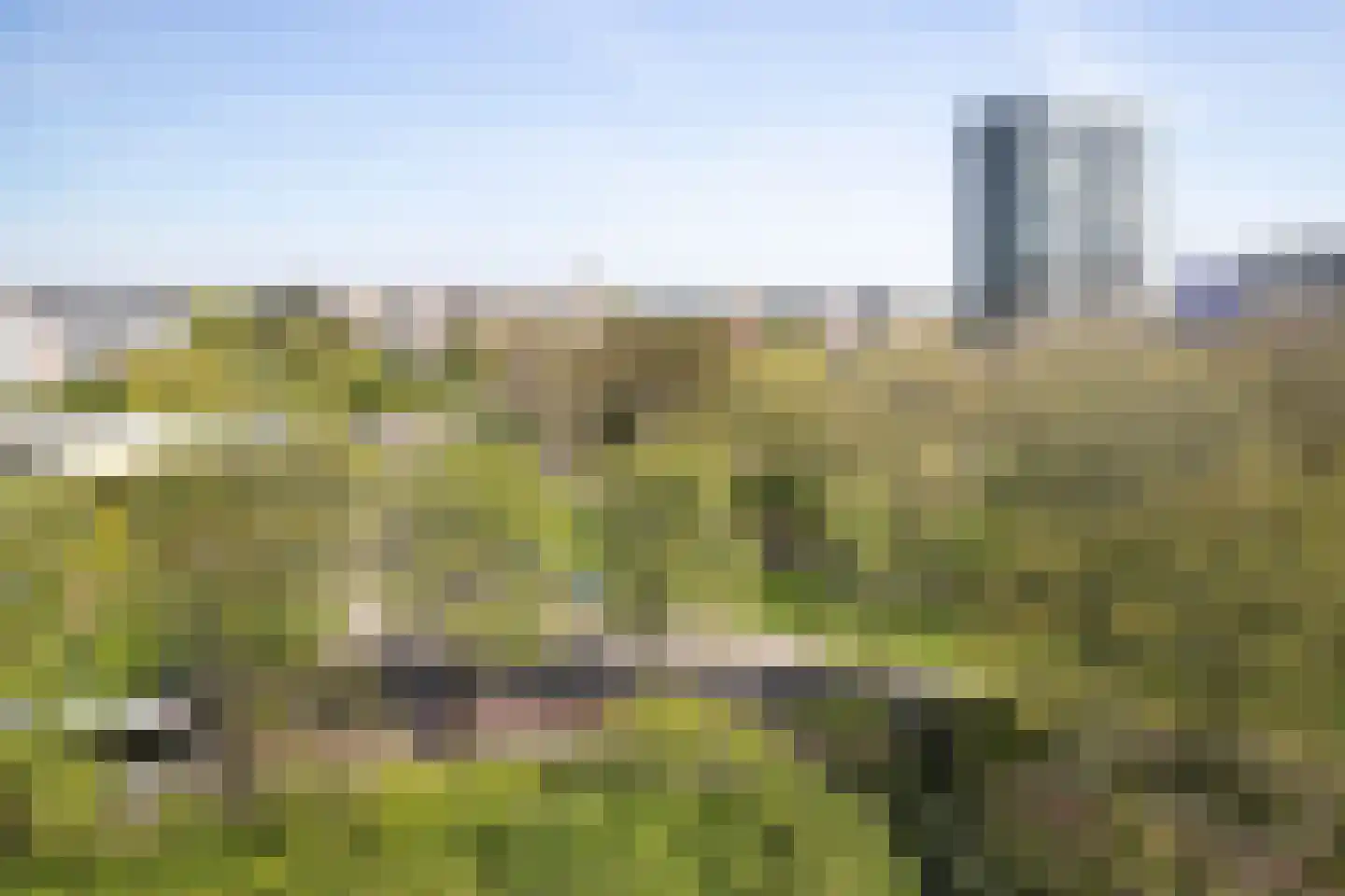 Elisabeth Brugsmaweg 1 520 Den Haag thumbnail 20