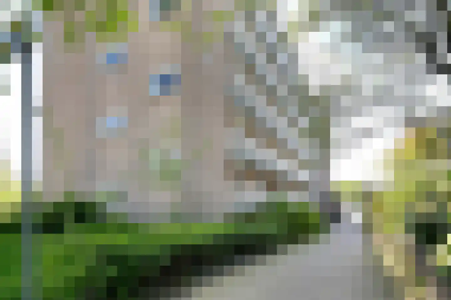 Elisabeth Brugsmaweg 1 520 Den Haag thumbnail 22