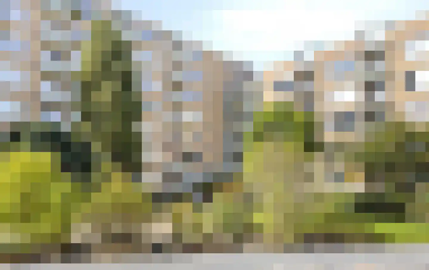 Elisabeth Brugsmaweg 1 520 Den Haag thumbnail 28