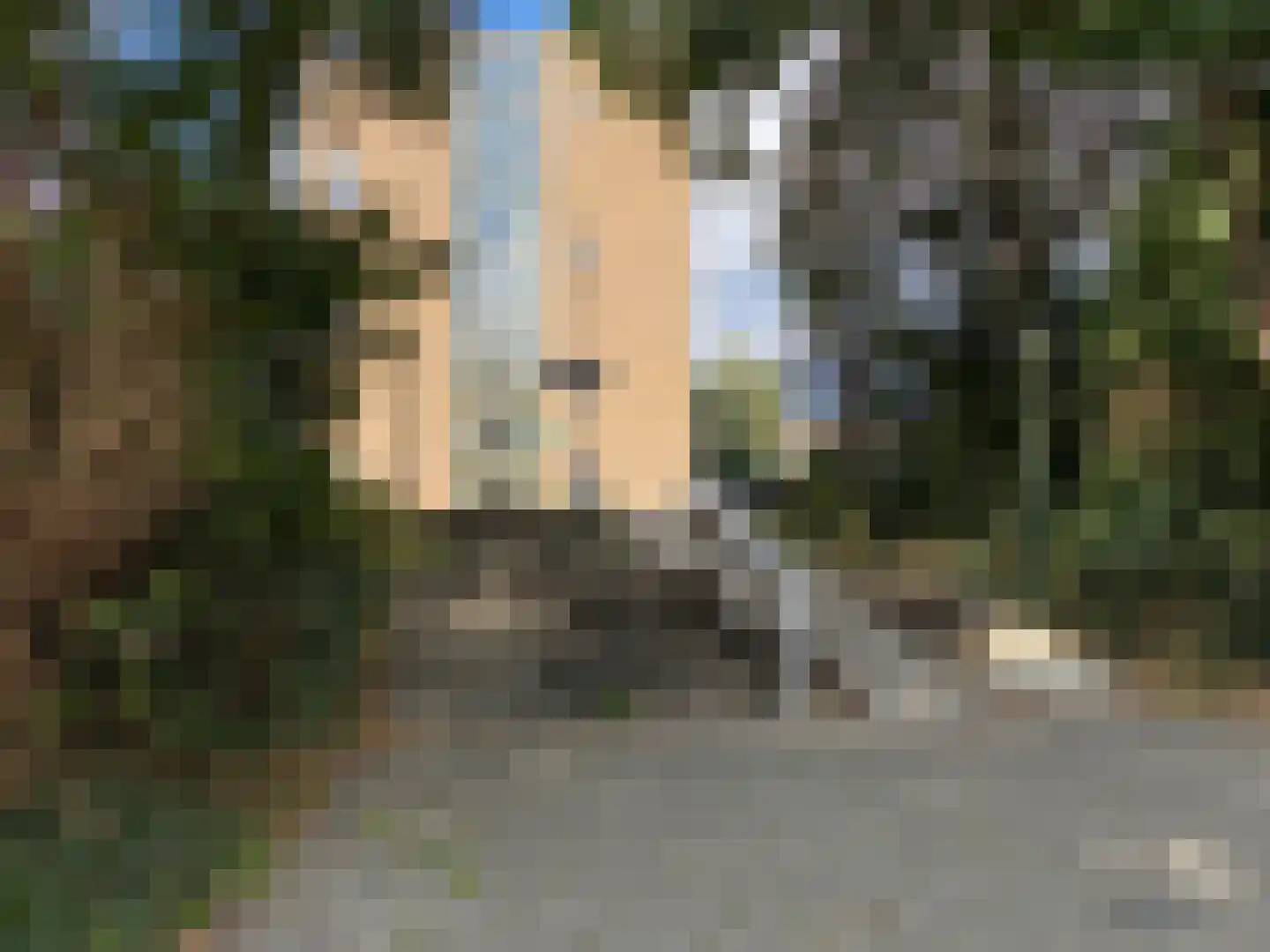 Elisabeth Brugsmaweg 1 520 Den Haag thumbnail 29