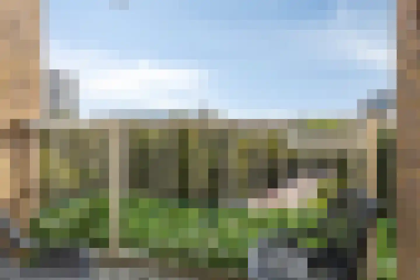 Elisabeth Brugsmaweg 1 520 Den Haag thumbnail 6