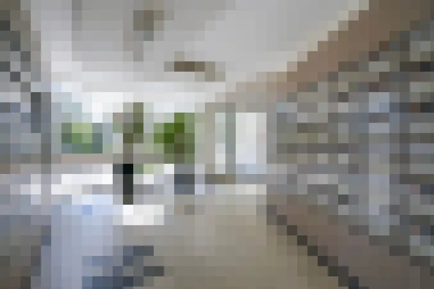 Elisabeth Brugsmaweg 1 714 Den Haag thumbnail 30