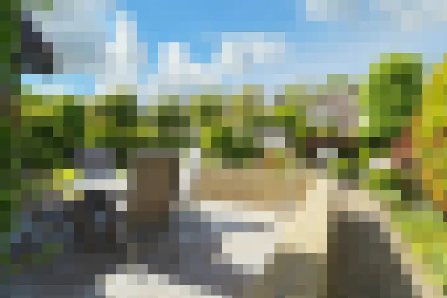 Elisabeth Catsvliet 10 Barendrecht thumbnail 37