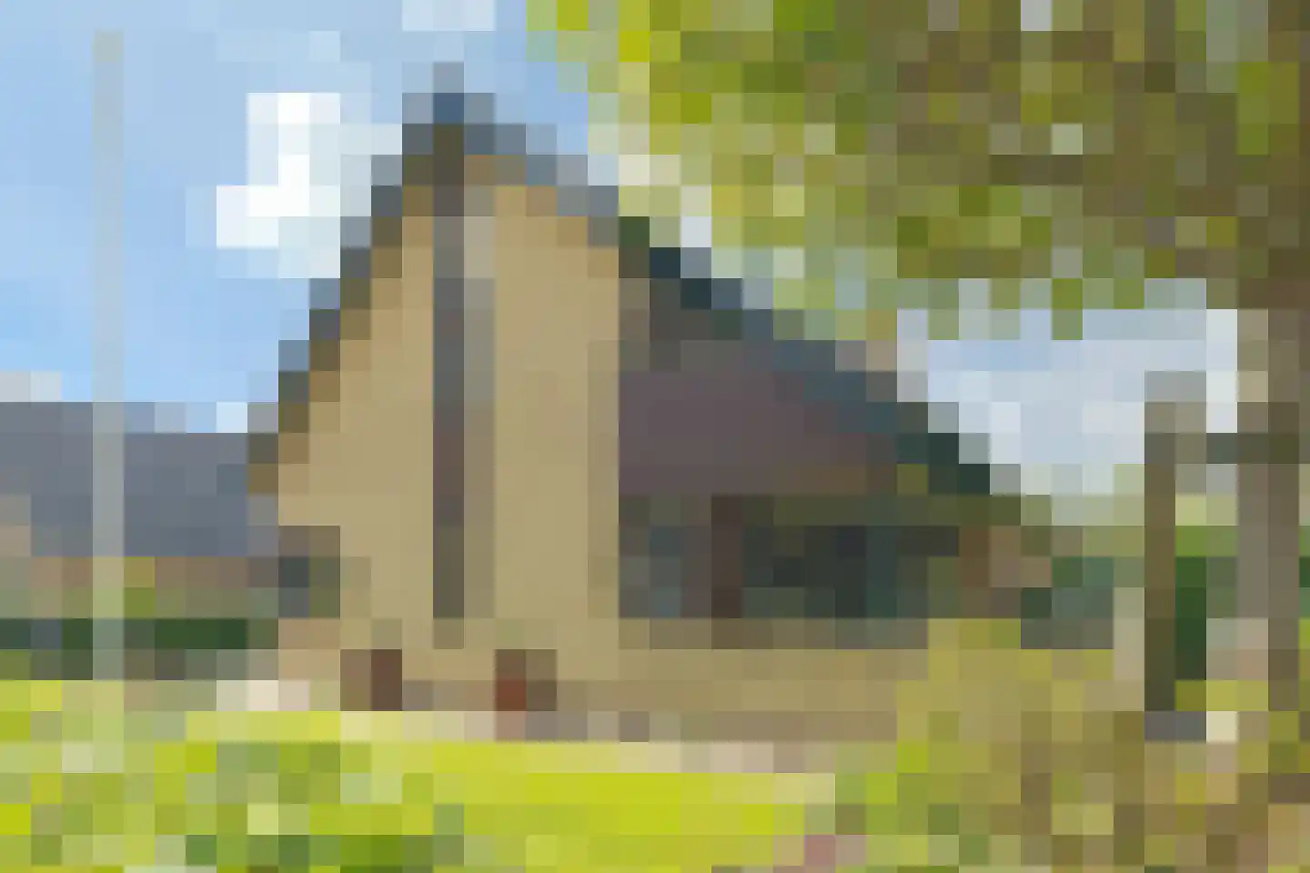 Elisabeth Catsvliet 10 Barendrecht thumbnail 44