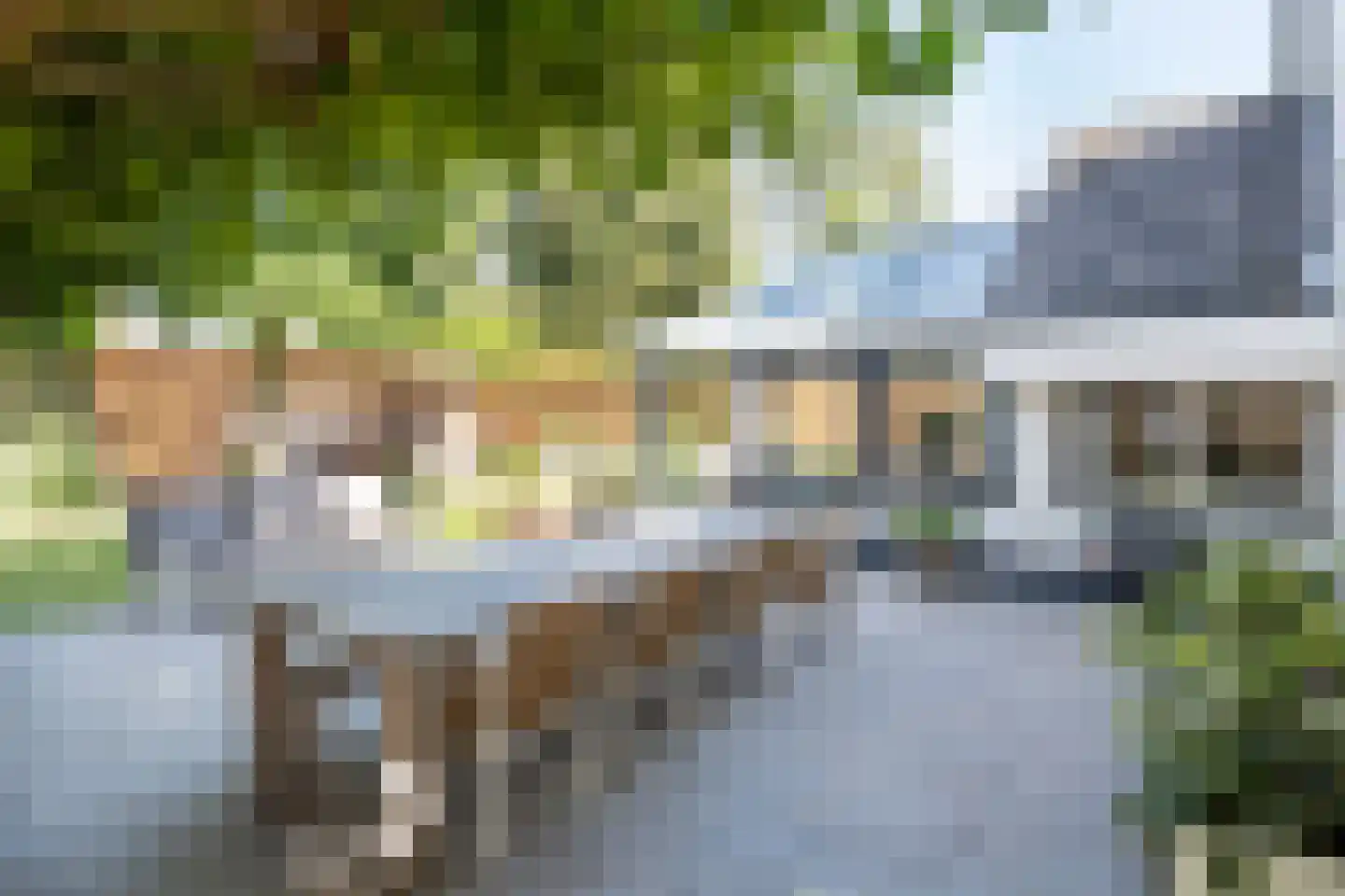 Elisabeth Catsvliet 7 Barendrecht thumbnail 35