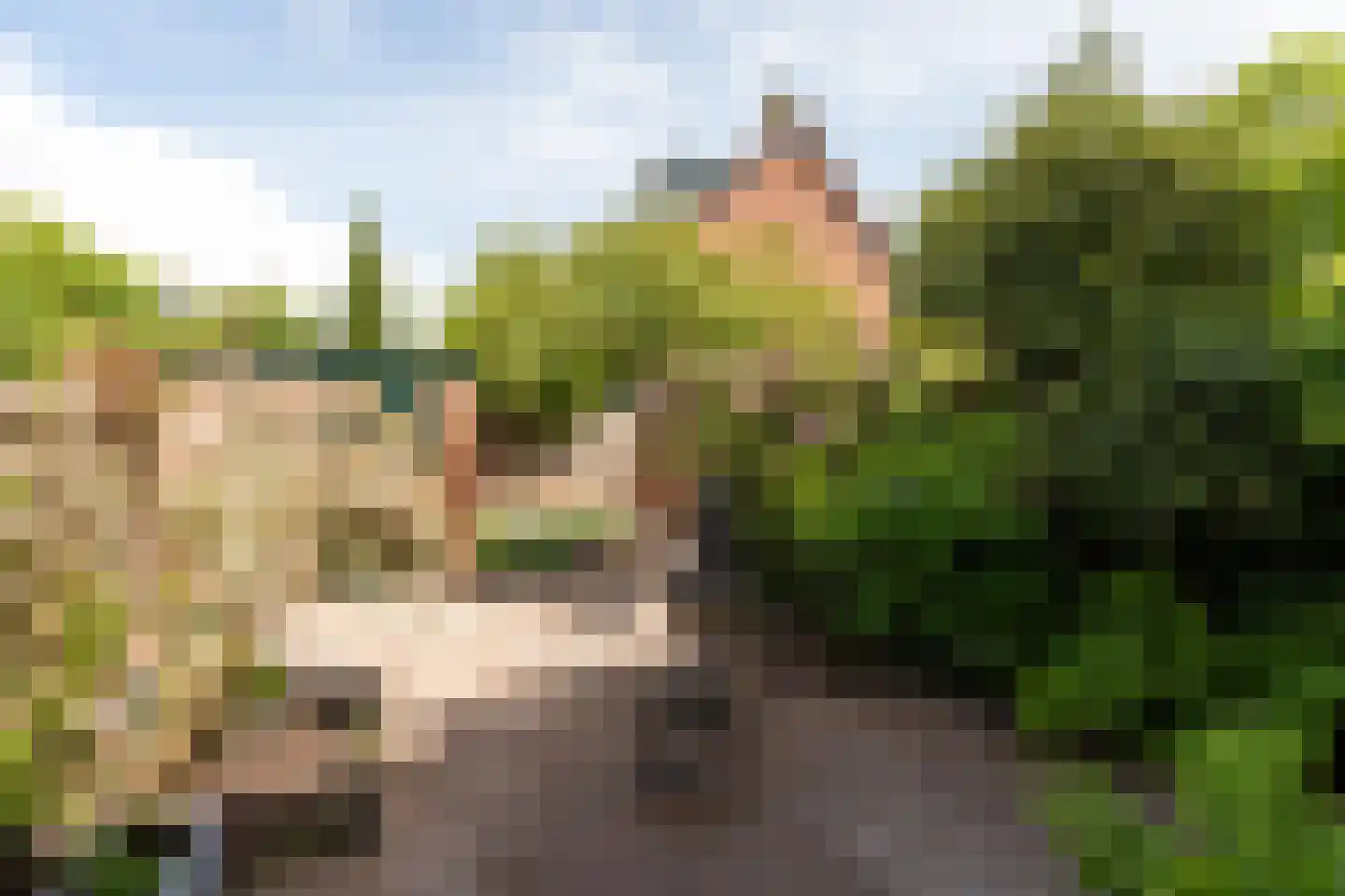 Elisabeth de Walélaan 34 Ankeveen thumbnail 5