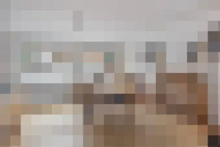 Elisabeth Gruytersstraat 15 Maastricht thumbnail 11