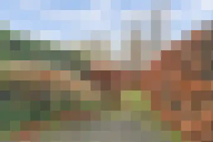 Elisabeth Hoeve 29 Gouda thumbnail 4