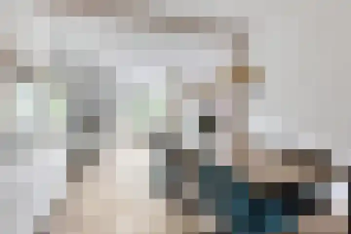 Elisabeth Strouvenlaan 57 Maastricht thumbnail 6