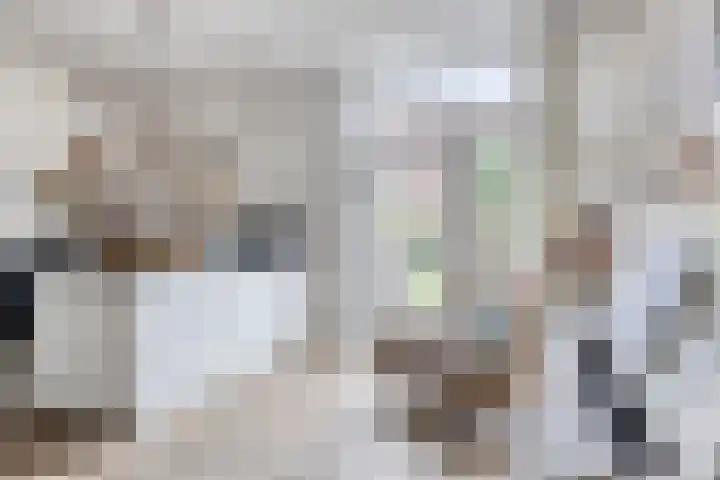 Elisabeth Strouvenlaan 57 Maastricht thumbnail 8
