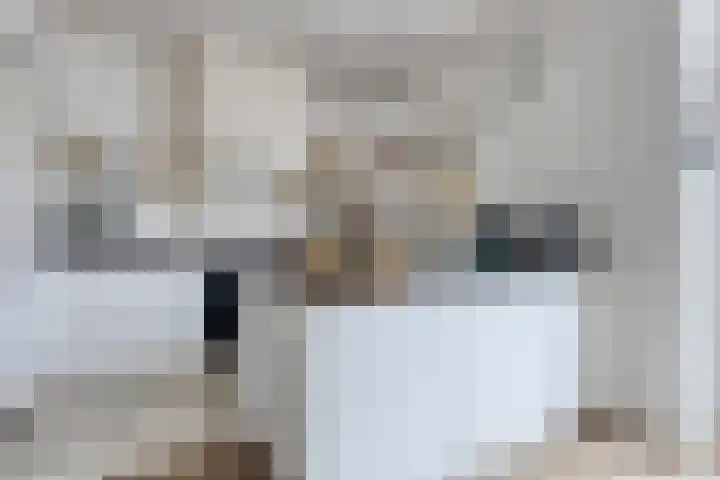Elisabeth Strouvenlaan 57 Maastricht thumbnail 9